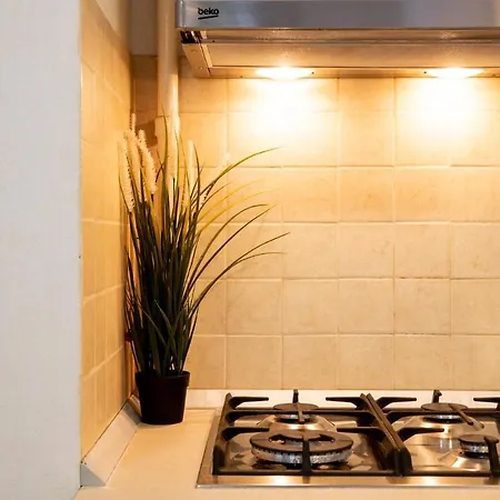 Aquarium Grivita Bükreş