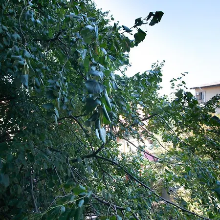 Aquarium Grivita בוקרשט