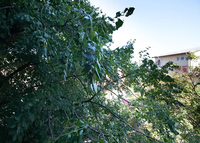 Aquarium Grivita ブカレスト